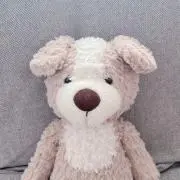 ぽんの画像