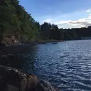 aaaの画像