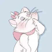 ねこ