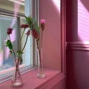 pipichanの画像