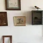 まいこの画像