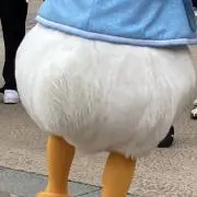 すけちゃんの画像
