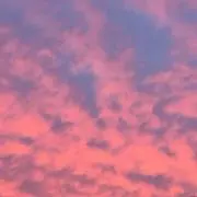 takaramonoの画像