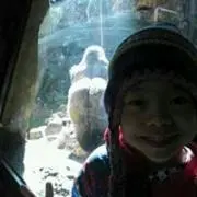 Yoha
