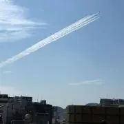 シャナの画像