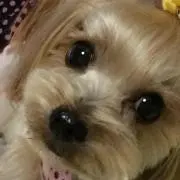 ゆっちゃん