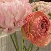 みるき