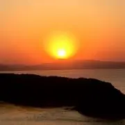 picaxxxの画像