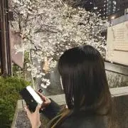 ひめたろの画像