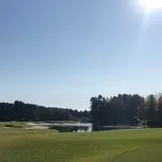 よーの画像