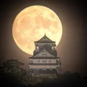 トツキの画像