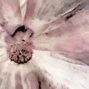 Naooo