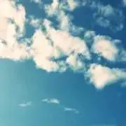 みかん