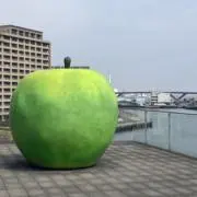 雅也の画像