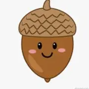 どんぐりこっこの画像