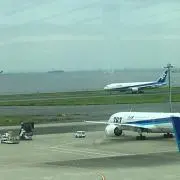 ぴょー