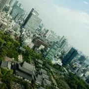 コレクション整理中★の画像