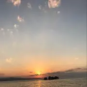 あいすの画像