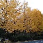 うるうるの画像