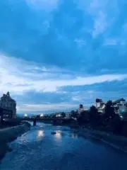 MOMOの画像