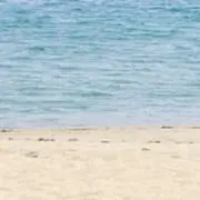 Urの画像
