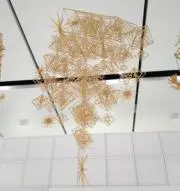 taeの画像