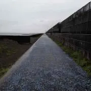 わいた