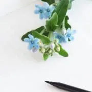 M.の画像