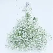 BabyBreath ショップの画像