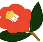 hitori_selectの画像