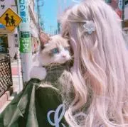 Sophiaの画像