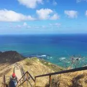 ももの画像