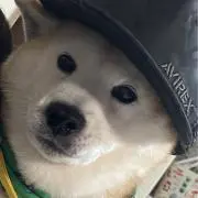 ゆう
