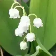 errnの画像