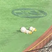 ちゃっぴー