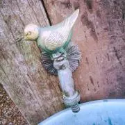 みなみなの画像
