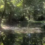 fruruの画像