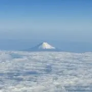 しゅうの画像
