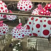 パンダママ