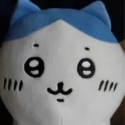 ☆kiyomi☆