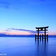 ✨️ウサギショップ✨️ お値下げ大歓迎！の画像