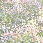 ピーチの画像