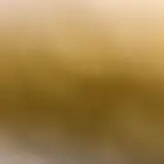 さとゆう