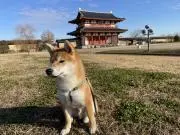 えっちゃん