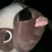 tenの画像