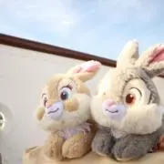 Nemuの画像
