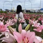 jujuの画像