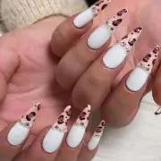 cocoの画像