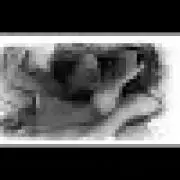 Ama23deuS *プロフ必読