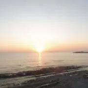 bogの画像